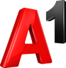 A1